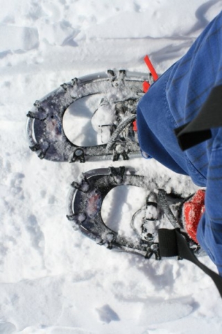  Raquetas de nieve en Veneto 